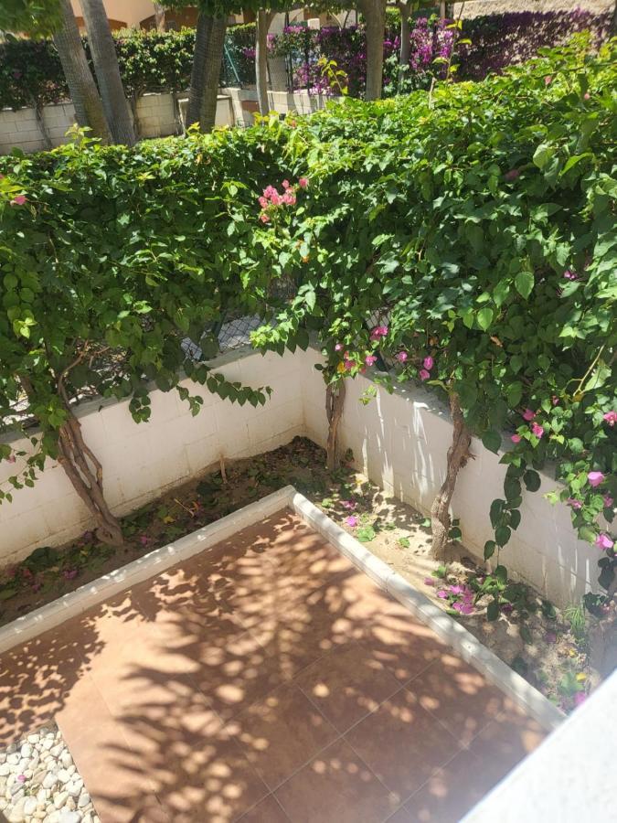 ¡Bajo Precioso Con Salida Directa A La Piscina Comunitaria En Paraiso De Vera! Extérieur photo
