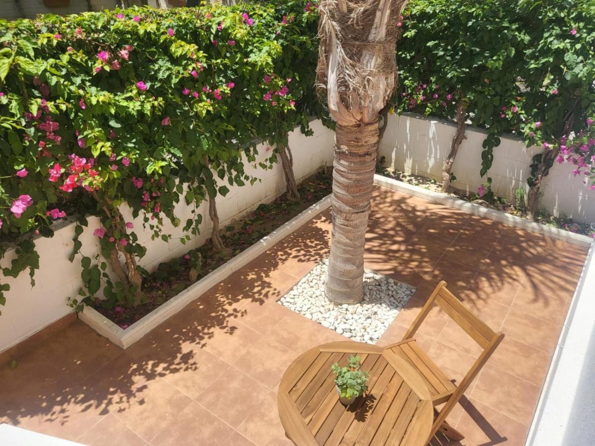 ¡Bajo Precioso Con Salida Directa A La Piscina Comunitaria En Paraiso De Vera! Extérieur photo
