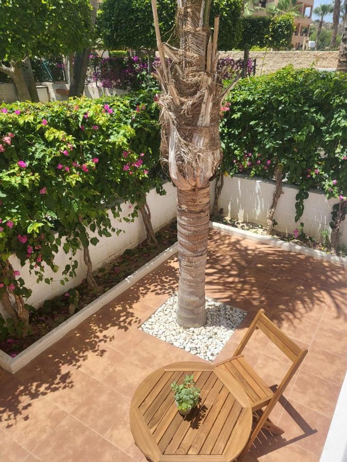 ¡Bajo Precioso Con Salida Directa A La Piscina Comunitaria En Paraiso De Vera! Extérieur photo