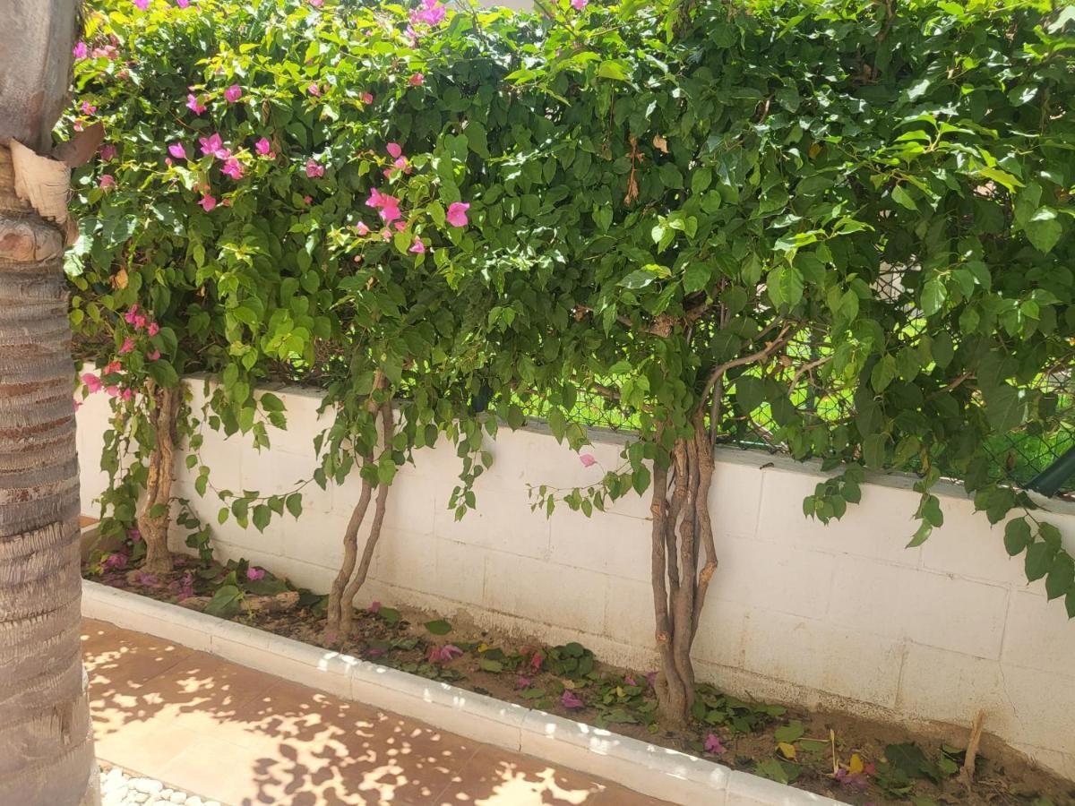 ¡Bajo Precioso Con Salida Directa A La Piscina Comunitaria En Paraiso De Vera! Extérieur photo